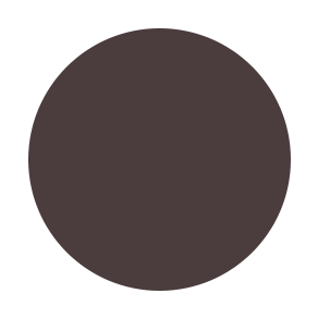 5 Dark Brunette